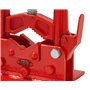 Hinged vice with fast release 3 inch